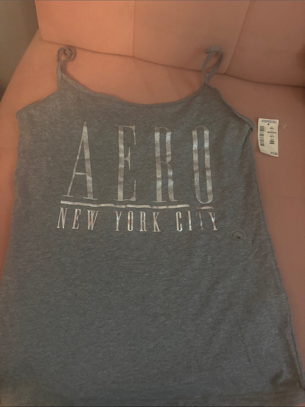 Brand new with tags Aeropostale Gray Logo New York City mini cam size M